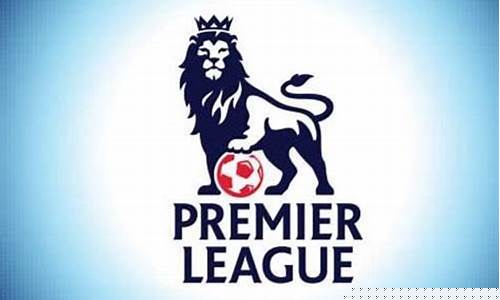 英超2013标王_2013英超转会