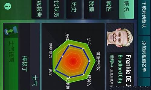 fm国家队怎么玩_fm玩小国家联赛