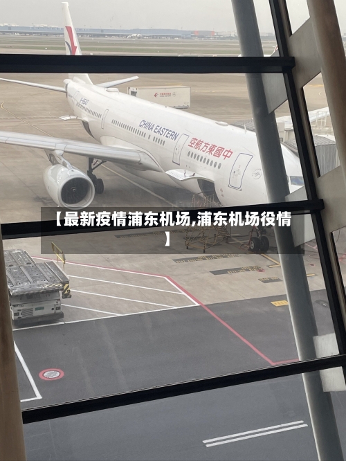 【最新疫情浦东机场,浦东机场役情】
