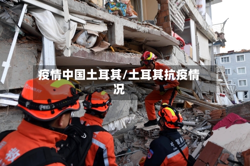 疫情中国土耳其/土耳其抗疫情况-第2张图片