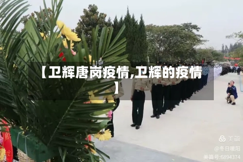 【卫辉唐岗疫情,卫辉的疫情】-第3张图片