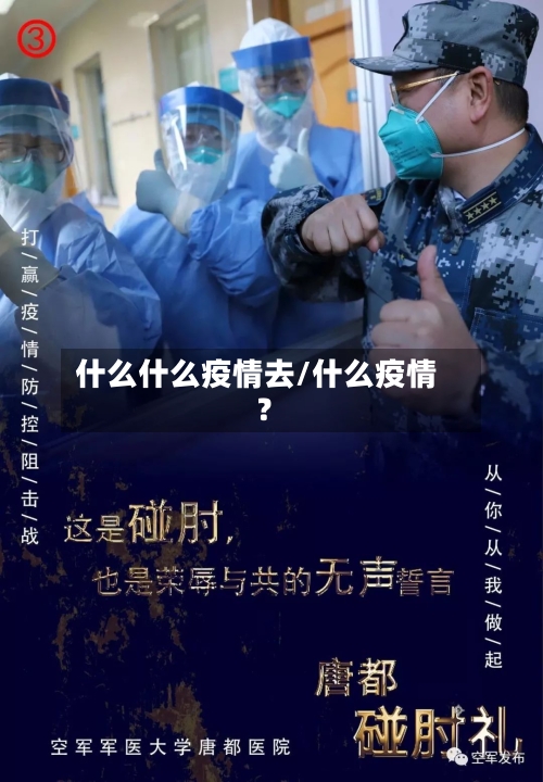 什么什么疫情去/什么疫情?