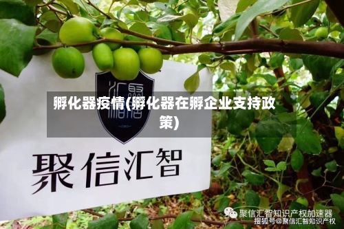 孵化器疫情(孵化器在孵企业支持政策)-第2张图片