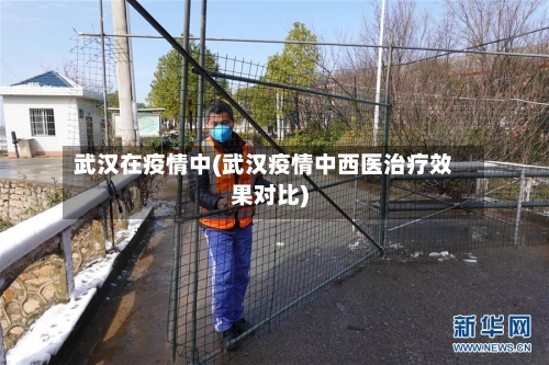 武汉在疫情中(武汉疫情中西医治疗效果对比)