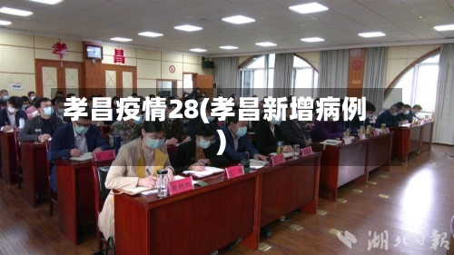 孝昌疫情28(孝昌新增病例)