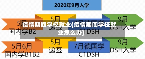 疫情期间学校就业(疫情期间学校就业怎么办)