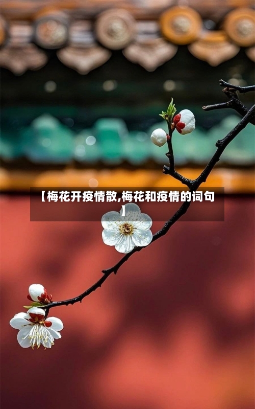 【梅花开疫情散,梅花和疫情的词句】