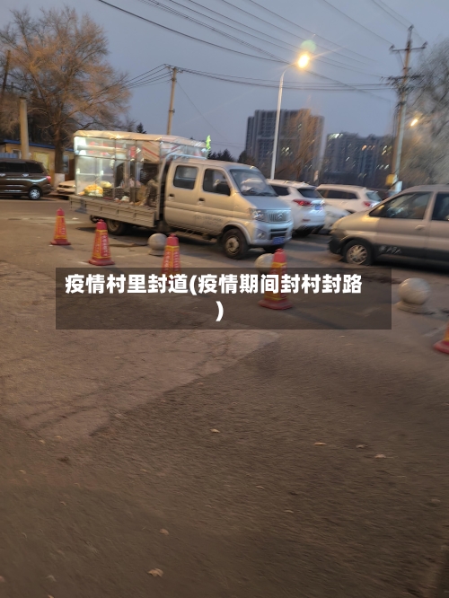 疫情村里封道(疫情期间封村封路)-第2张图片