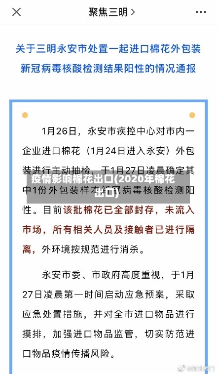 疫情影响棉花出口(2020年棉花出口)-第2张图片