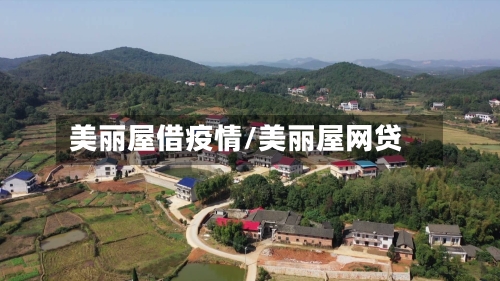美丽屋借疫情/美丽屋网贷-第3张图片