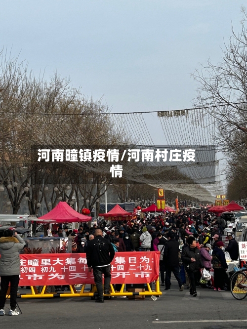 河南疃镇疫情/河南村庄疫情-第2张图片