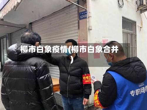 柳市白象疫情(柳市白象合并)
