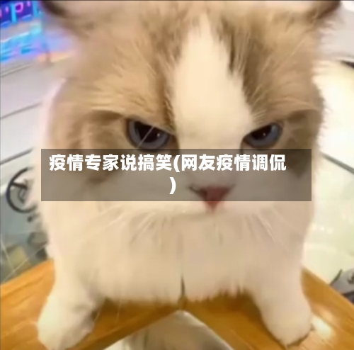 疫情专家说搞笑(网友疫情调侃)