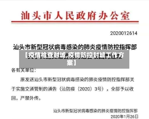 【疫情检查封城,疫情防控封城工作方案】-第2张图片