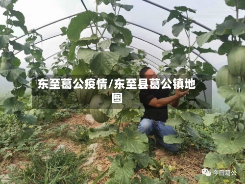 东至葛公疫情/东至县葛公镇地图