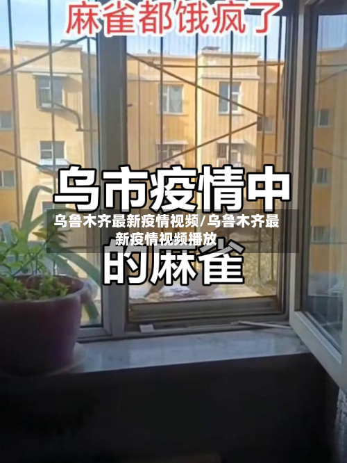 乌鲁木齐最新疫情视频/乌鲁木齐最新疫情视频播放-第3张图片
