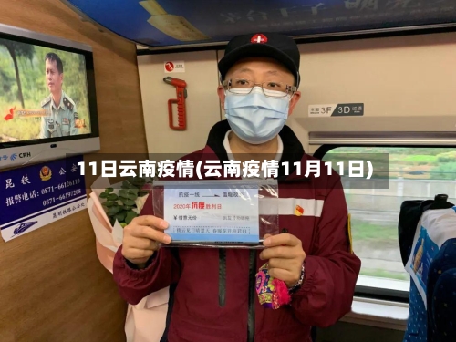 11日云南疫情(云南疫情11月11日)