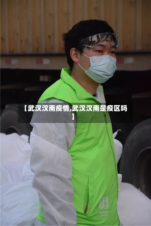 【武汉汉南疫情,武汉汉南是疫区吗】