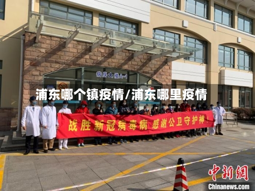 浦东哪个镇疫情/浦东哪里疫情-第2张图片