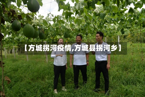 【方城拐河疫情,方城县拐河乡】