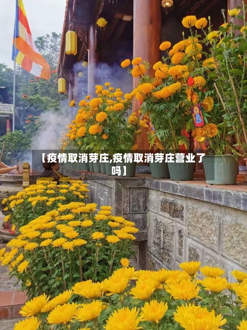 【疫情取消芽庄,疫情取消芽庄营业了吗】-第2张图片