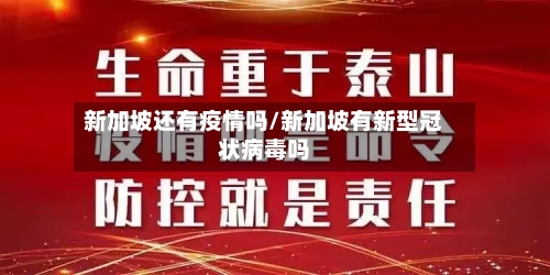 新加坡还有疫情吗/新加坡有新型冠状病毒吗-第2张图片