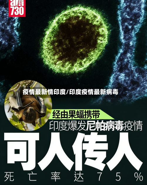 疫情最新情印度/印度疫情最新病毒