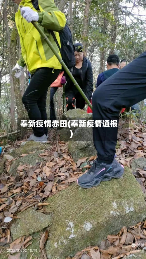 奉新疫情赤田(奉新疫情通报)