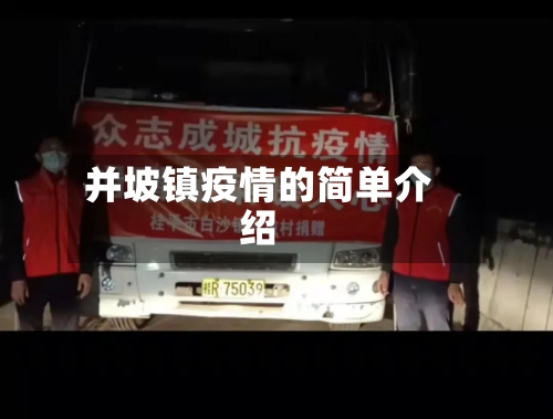 并坡镇疫情的简单介绍