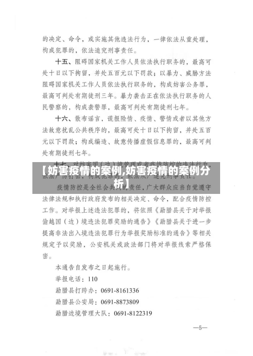 【妨害疫情的案例,妨害疫情的案例分析】-第2张图片