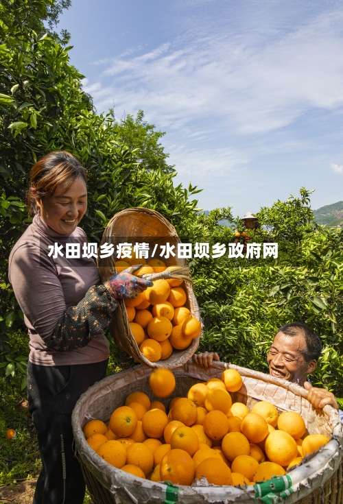 水田坝乡疫情/水田坝乡政府网-第2张图片