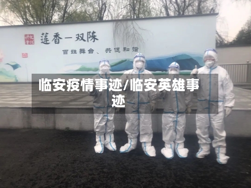 临安疫情事迹/临安英雄事迹