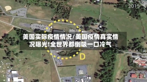 美国实际疫情情况/美国疫情真实情况曝光!全世界都倒吸一口冷气