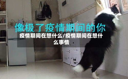 疫情期间在想什么/疫情期间在想什么事情