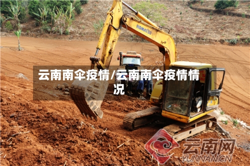 云南南伞疫情/云南南伞疫情情况-第3张图片