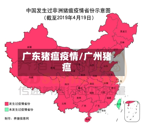 广东猪瘟疫情/广州猪瘟