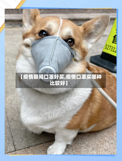 【疫情期间口罩好买,疫情口罩买哪种比较好】